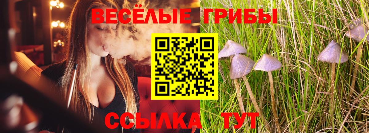 Галлюциногенные грибы GOLDEN TEACHER  Вход с VPN  Туймазы 